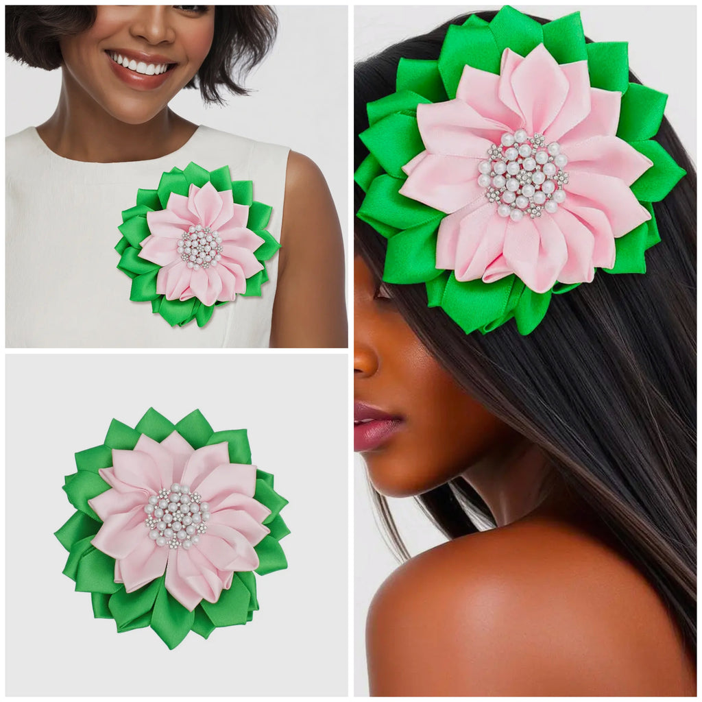 1908 Alpha Kappa Alpha Bundle